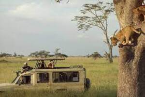 The Wild Splendors of Tanzania